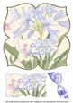 Agapanthus Special Day 8in Large Blooms Fancy Topper