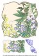 Lupins Special Day 8in Large Blooms Fancy Topper