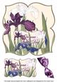 Iris Special Day 8in Large Blooms Fancy Topper