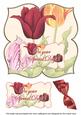 Tulips Special Day 8in Large Blooms Fancy Topper