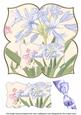 Agapanthus Thank You 8in Large Blooms Fancy Topper