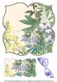 Lupins Thank You 8in Large Blooms Fancy Topper