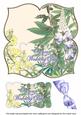Lupins Wedding Day 8in Large Blooms Fancy Topper