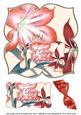 Amarylis Day to Remember 8in Large Blooms Fancy Topper