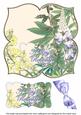 Blue Lupins Day to Remember 8in Large Blooms Fancy Topper