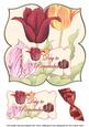 Tulips Day to Remember 8in Large Blooms Fancy Topper