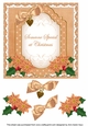 Orange Poinsettia Someone Special at Christmas Fancy 7in Decoupage Topper