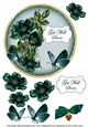 Peacock Wild Rose Get Well Soon 7in Circle Decoupage Topper