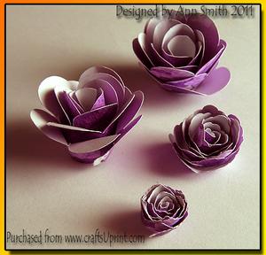 Fancy Spiral Flowers