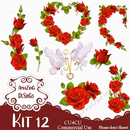 Kit 12