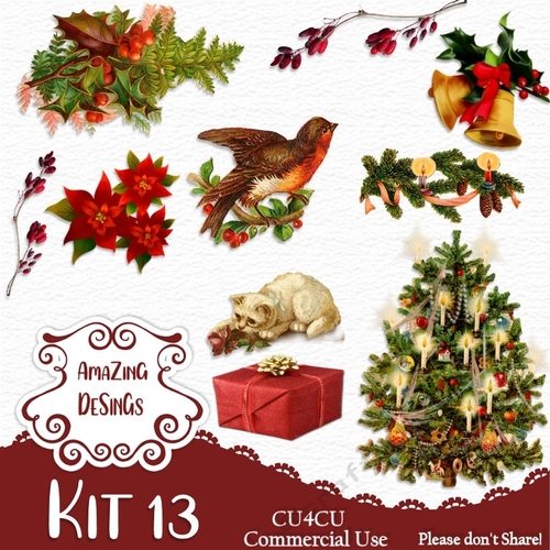 Kit 13