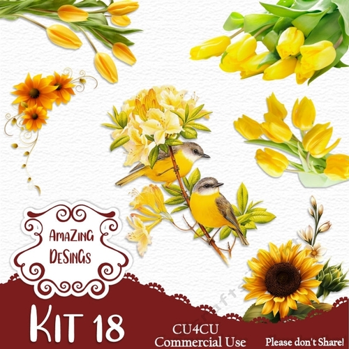 Kit 18