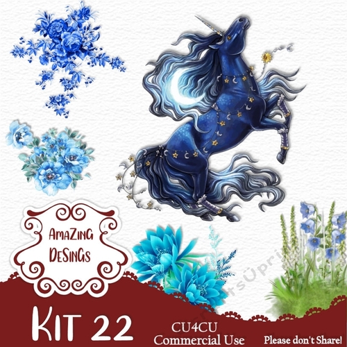 Kit 22
