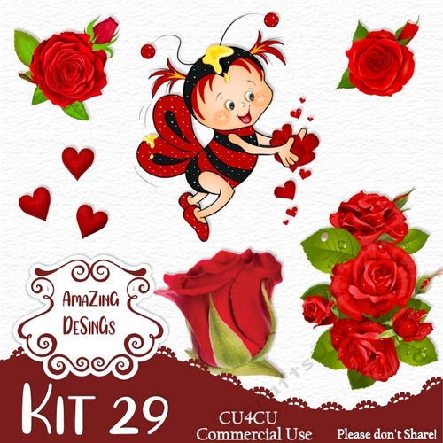 Kit 29