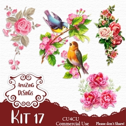 Kit 17