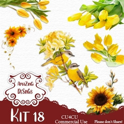 Kit 18