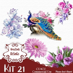Kit 21