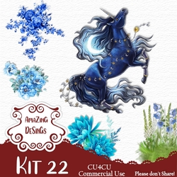 Kit 22