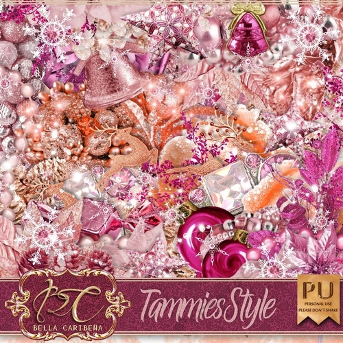 Tammies Style, kit from Bella Caribena 