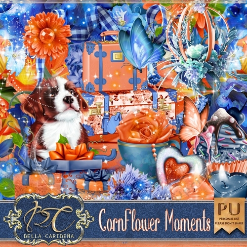 CornFlower Moments,  kit from Bella Caribena 