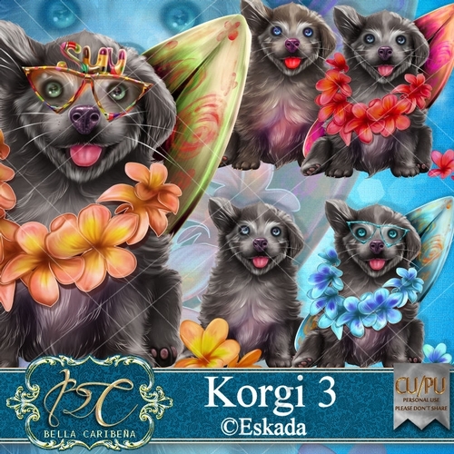 Korgi 3, CU/PU Pk from Bella Caribena 