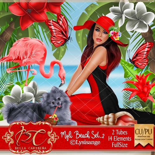 Myli Beach Set 2, from Bella Caribena 