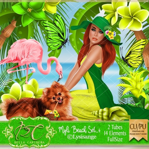 Myli Beach Set 4, from Bella Caribena 