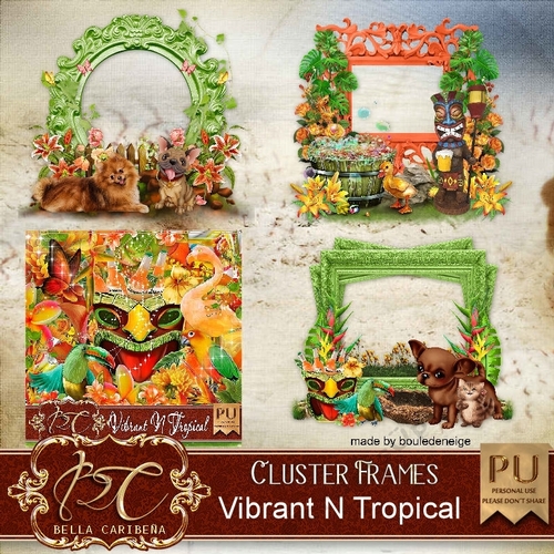 Vibrant N Tropical CF 8, from Bella Caribena 