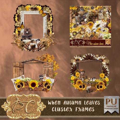 When Autumn Leaves CF7, from Bella Caribena 