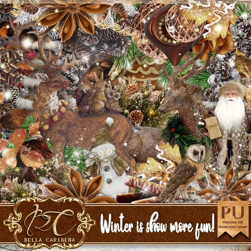 Winter is show more fun, kit from Bella Caribena 