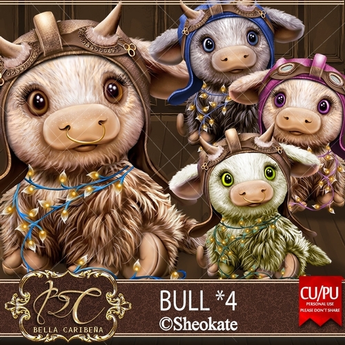Bull 4, CU/PU pk, from Bella Caribena 
