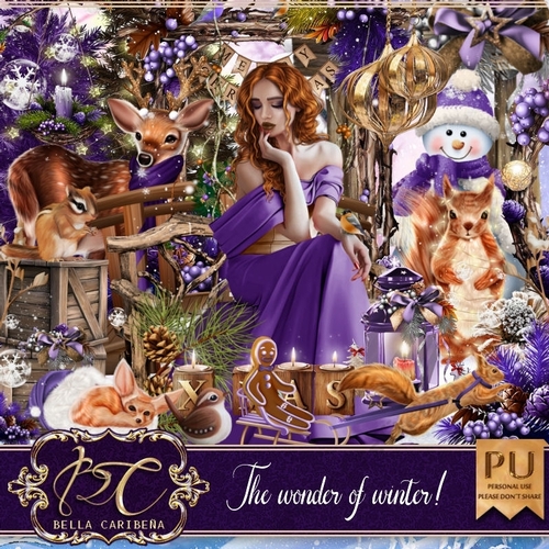 The Wonders of Winter, kit from Bella Caribeña 
