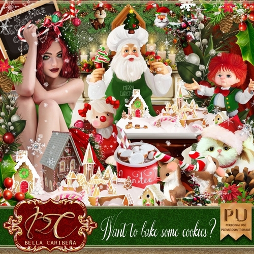 Want To Bake some cookies, kit from Bella Caribeña 