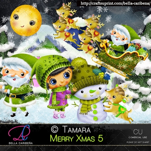 Merry Xmas 5
