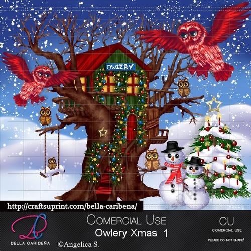 Owlery Xmas 1
