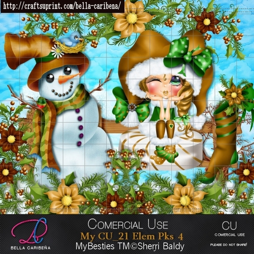 CU 21 Elem Pk 4