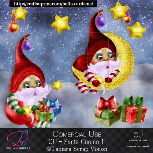 Santa Gnomo 1