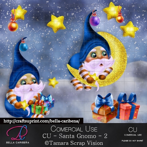 Santa Gnomo 2