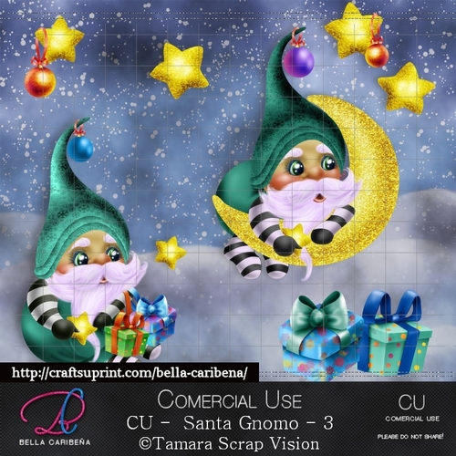 Santa Gnomo 3