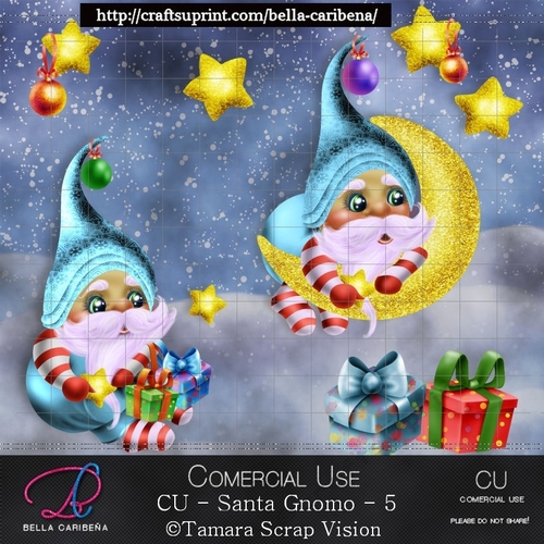 Santa Gnomo 5