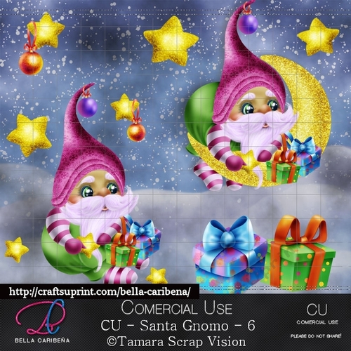 Santa Gnomo 6