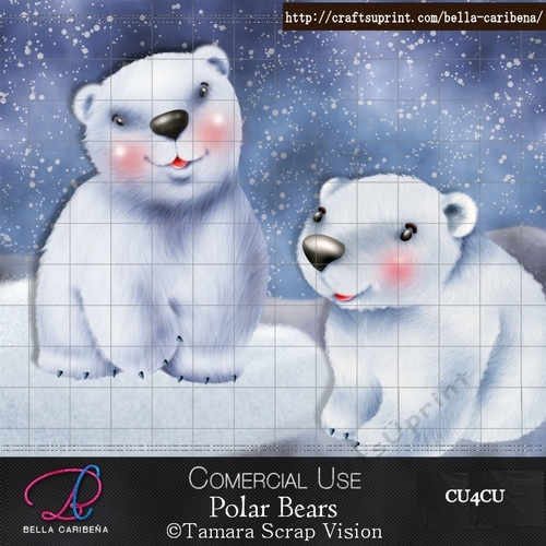 Polar Bears 