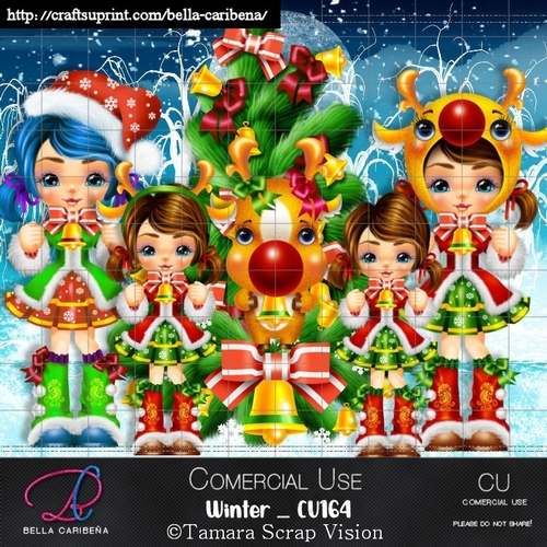 Winter CU 164