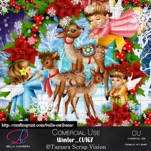 Winter CU 167