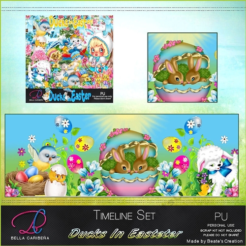 Ducks in Easter TL2