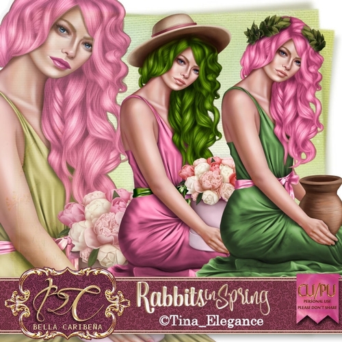 Rabbits in Spring Tube