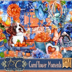CornFlower Moments, kit from Bella Caribena