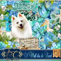 A Walk Thru The Beach, kit from Bella Caribena  