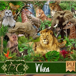 Wild, kit from Bella Caribena