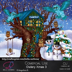 Owlery Xmas 3
